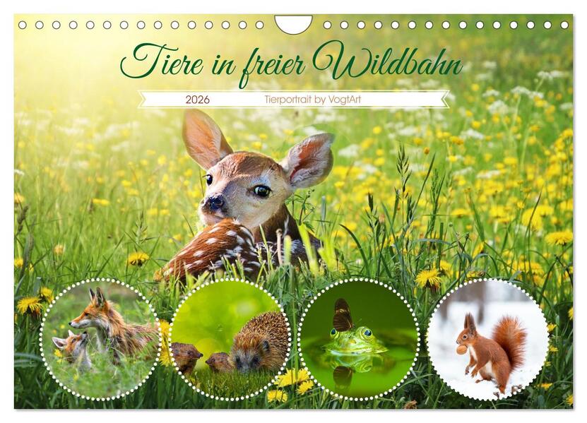 Tiere in freier Wildbahn by VogtArt (Wandkalender 2026 DIN A4 quer) CALVENDO Monatskalender