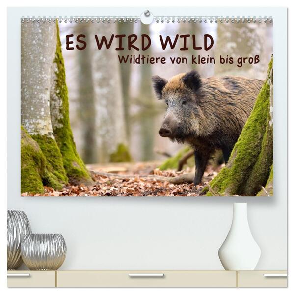 ES WIRD WILD Wildtiere von klein bis groß (hochwertiger Premium Wandkalender 2026 DIN A2 quer) Kunstdruck in Hochglanz