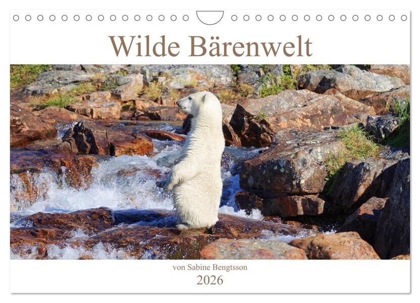 Wilde Bärenwelt (Wandkalender 2026 DIN A4 quer) CALVENDO Monatskalender