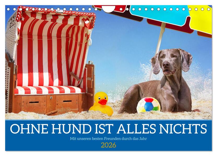 Ohne Hund ist alles nichts - Mit unseren besten Freunden durch das Jahr (Wandkalender 2026 DIN A4 quer) CALVENDO Monatskalender