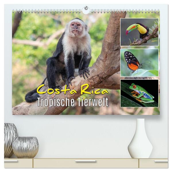 Costa Rica - Tropische Tierwelt (hochwertiger Premium Wandkalender 2026 DIN A2 quer) Kunstdruck in Hochglanz