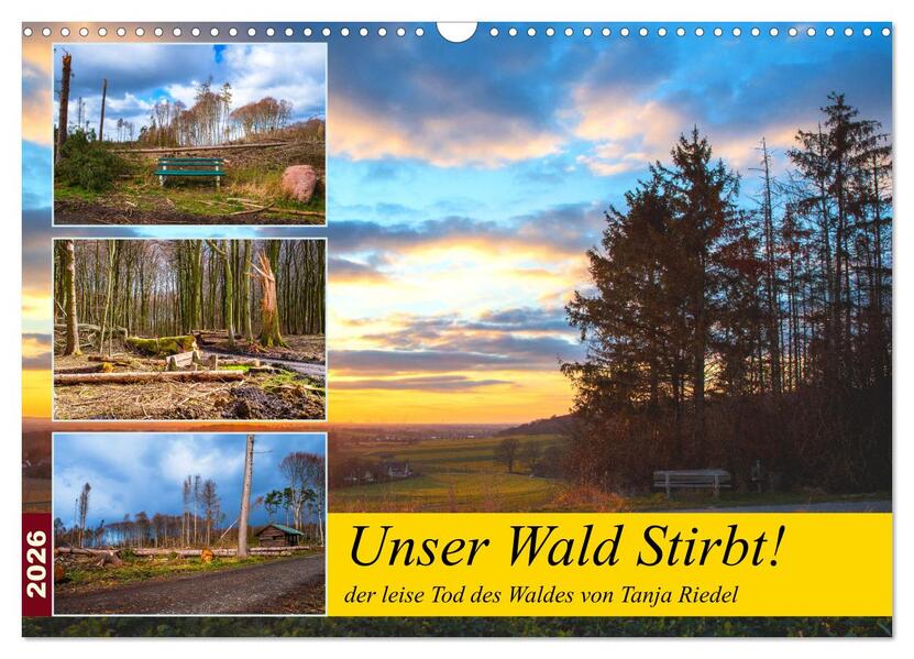 Unser Wald Stirbt (Wandkalender 2026 DIN A3 quer) CALVENDO Monatskalender