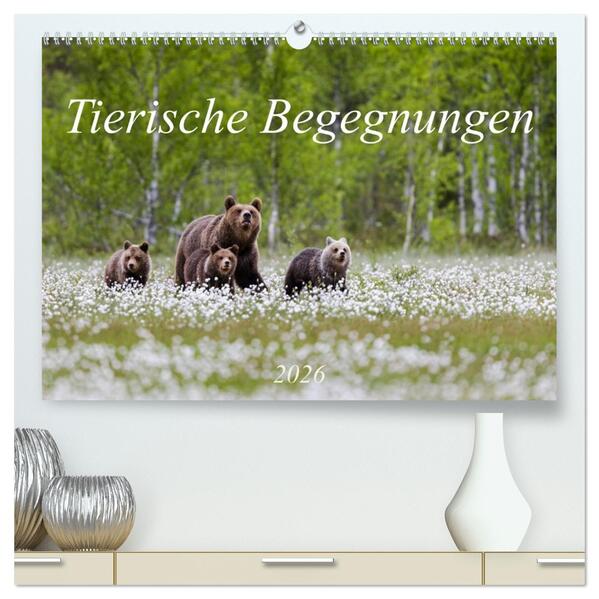 Tierische Begegnungen (hochwertiger Premium Wandkalender 2026 DIN A2 quer) Kunstdruck in Hochglanz