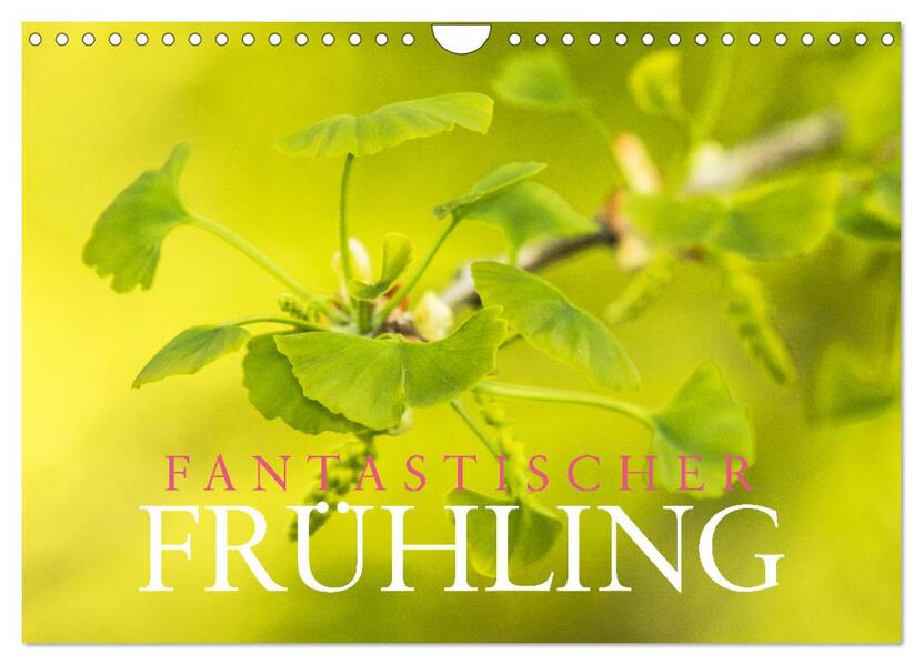 Fantastischer Frühling (Wandkalender 2026 DIN A4 quer) CALVENDO Monatskalender