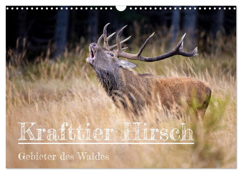 Krafttier Hirsch (Wandkalender 2026 DIN A3 quer) CALVENDO Monatskalender