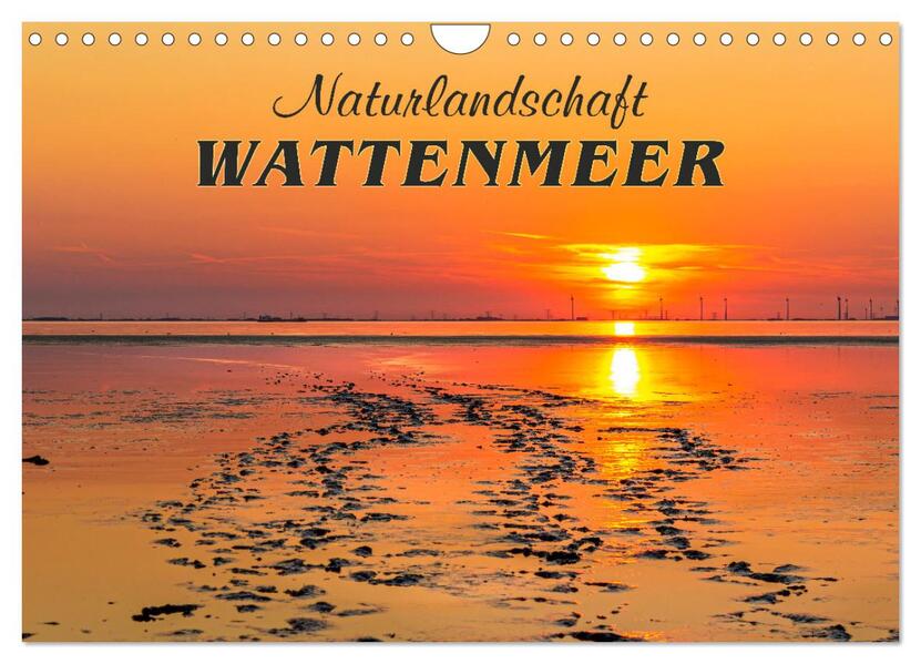 Naturlandschaft WATTENMEER (Wandkalender 2026 DIN A4 quer) CALVENDO Monatskalender