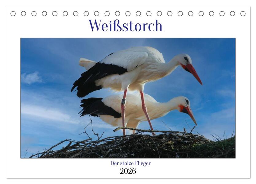 Weißstorch der stolze Flieger (Tischkalender 2026 DIN A5 quer) CALVENDO Monatskalender