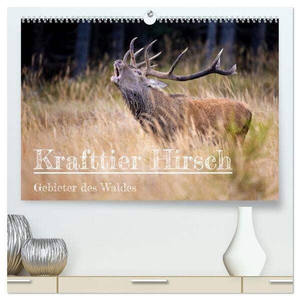 Krafttier Hirsch (hochwertiger Premium Wandkalender 2026 DIN A2 quer) Kunstdruck in Hochglanz