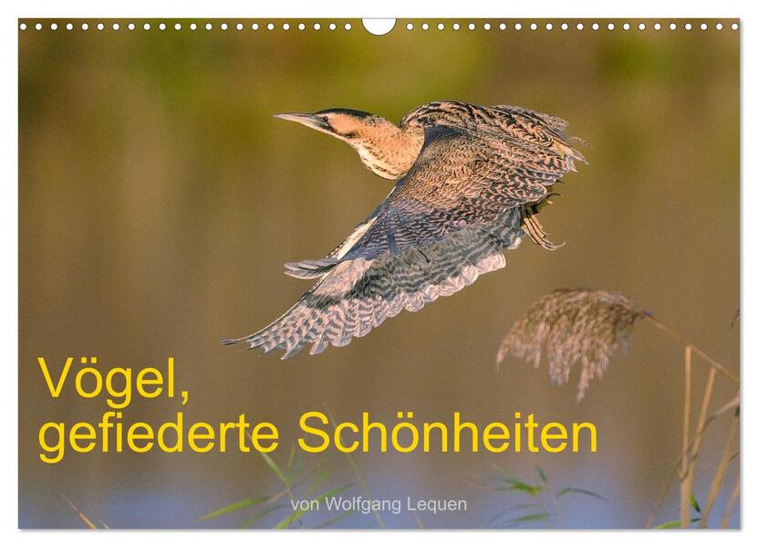 Vögel Gefiederte Schönheiten (Wandkalender 2026 DIN A3 quer) CALVENDO Monatskalender
