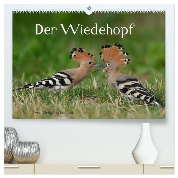 Der Wiedehopf (hochwertiger Premium Wandkalender 2026 DIN A2 quer) Kunstdruck in Hochglanz
