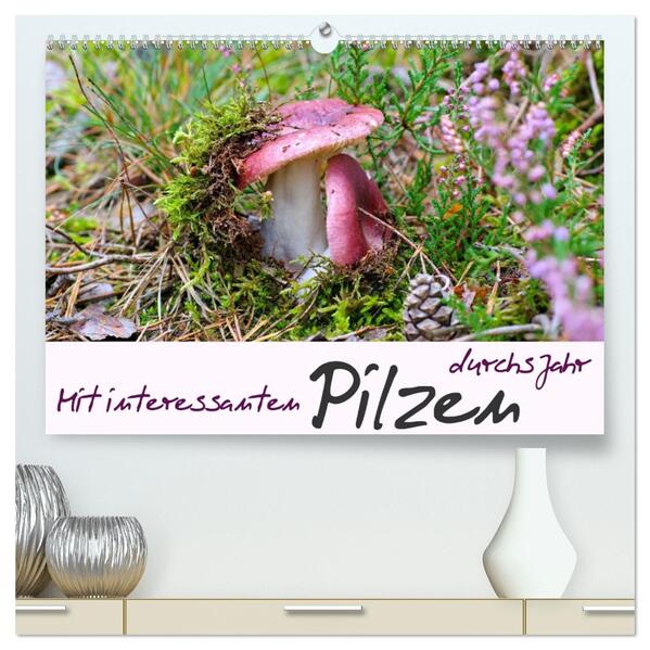 Mit interessanten Pilzen durchs Jahr (hochwertiger Premium Wandkalender 2026 DIN A2 quer) Kunstdruck in Hochglanz