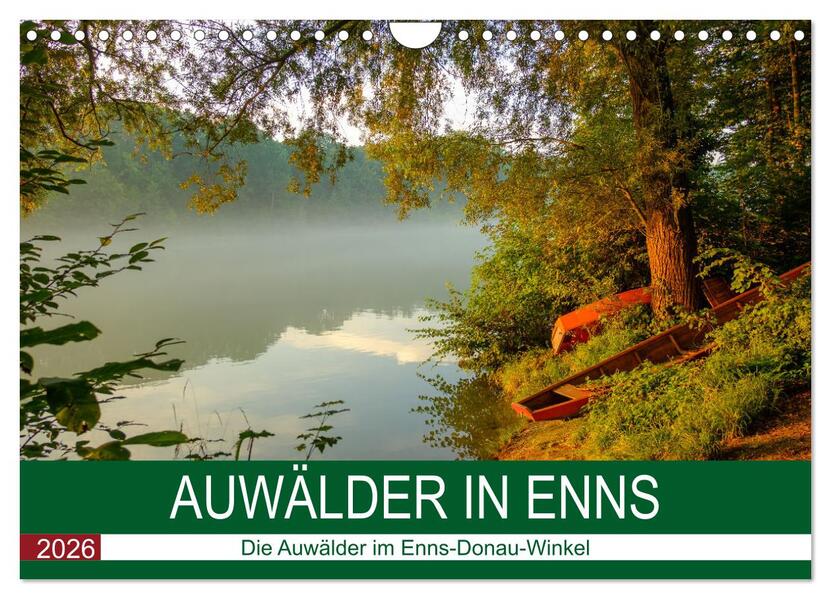 Auwälder bei Enns (Wandkalender 2026 DIN A4 quer) CALVENDO Monatskalender