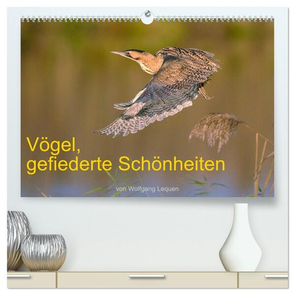 Vögel Gefiederte Schönheiten (hochwertiger Premium Wandkalender 2026 DIN A2 quer) Kunstdruck in Hochglanz