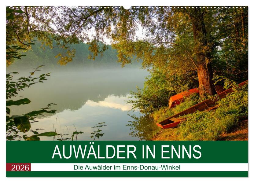 Auwälder bei Enns (Wandkalender 2026 DIN A2 quer) CALVENDO Monatskalender