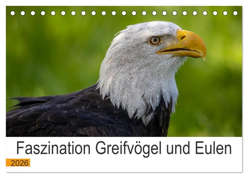 Faszination Greifvögel und Eulen (Tischkalender 2026 DIN A5 quer) CALVENDO Monatskalender