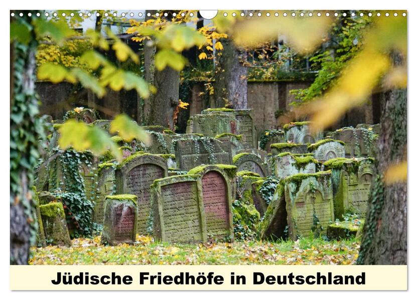 Jüdische Friedhöfe in Deutschland (Wandkalender 2026 DIN A3 quer) CALVENDO Monatskalender