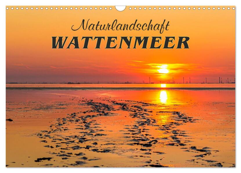 Naturlandschaft WATTENMEER (Wandkalender 2026 DIN A3 quer) CALVENDO Monatskalender