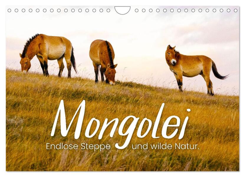 Mongolei - Endlose Steppe und wilde Natur. (Wandkalender 2026 DIN A4 quer) CALVENDO Monatskalender