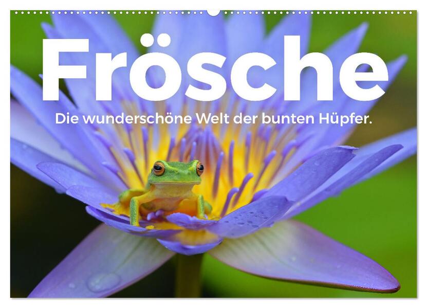Frösche - Die wunderschöne Welt der bunten Hüpfer. (Wandkalender 2026 DIN A2 quer) CALVENDO Monatskalender