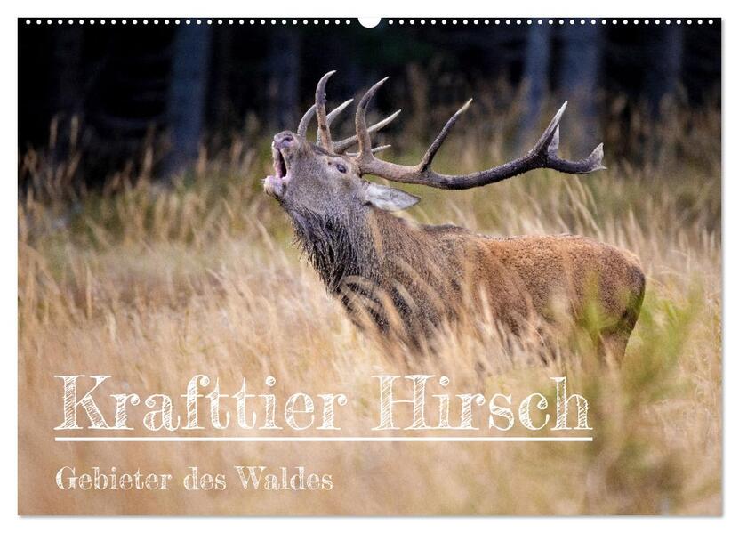 Krafttier Hirsch (Wandkalender 2026 DIN A2 quer) CALVENDO Monatskalender