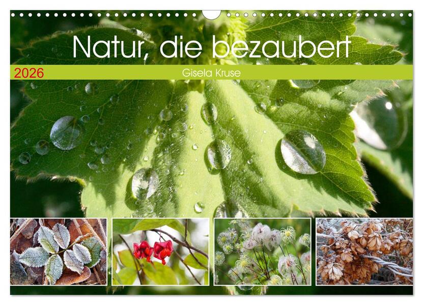 Natur die bezaubert (Wandkalender 2026 DIN A3 quer) CALVENDO Monatskalender