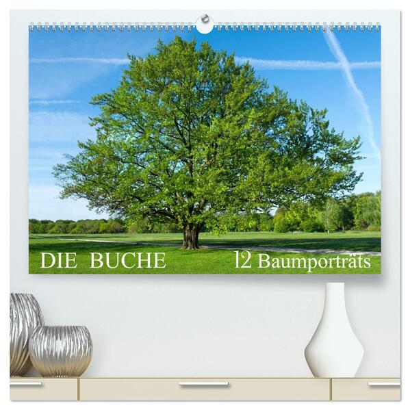 Die Buche: 12 Baumporträts (hochwertiger Premium Wandkalender 2026 DIN A2 quer) Kunstdruck in Hochglanz
