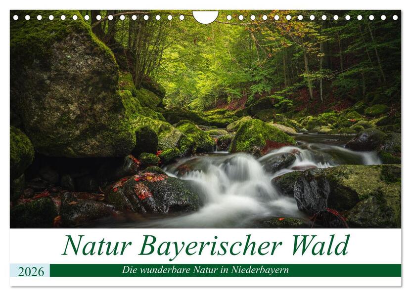 Natur Bayerischer Wald (Wandkalender 2026 DIN A4 quer) CALVENDO Monatskalender