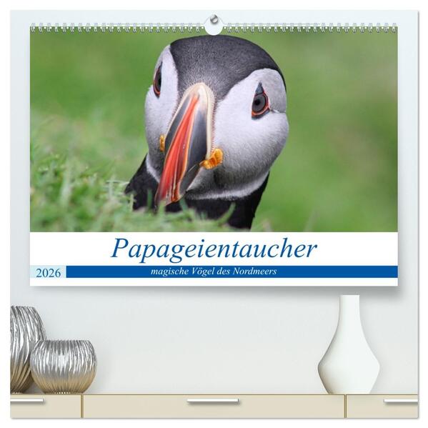 Papageientaucher 2026 - Magische Vögel des Nordmeers (hochwertiger Premium Wandkalender 2026 DIN A2 quer) Kunstdruck in Hochglanz