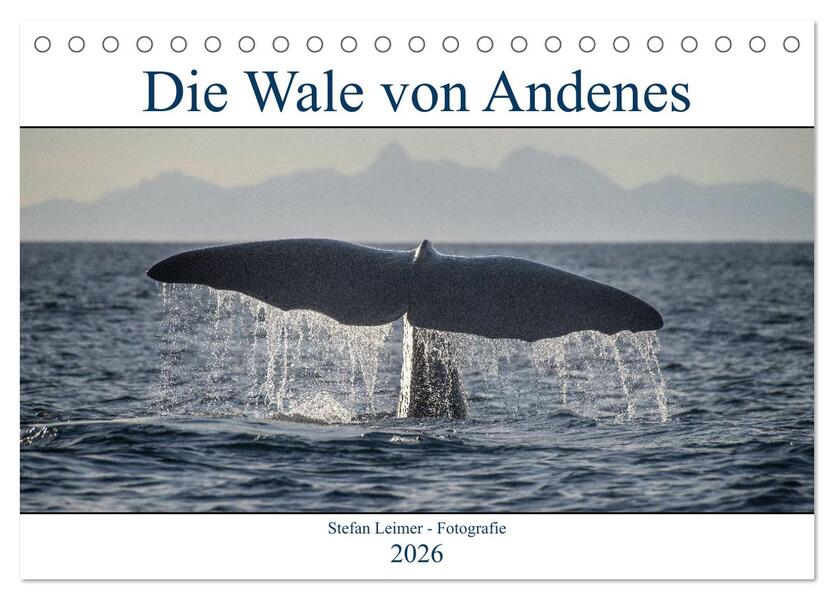 Die Wale von Andenes (Tischkalender 2026 DIN A5 quer) CALVENDO Monatskalender