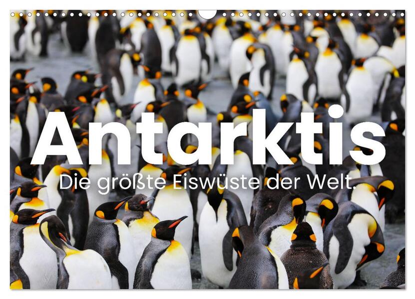 Antarktis - Die größte Eiswüste der Welt. (Wandkalender 2026 DIN A3 quer) CALVENDO Monatskalender