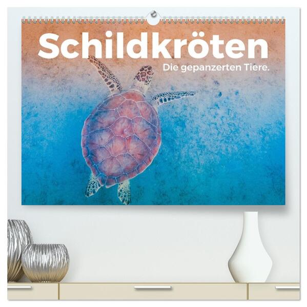 Schildkröten - Die gepanzerten Tiere. (hochwertiger Premium Wandkalender 2026 DIN A2 quer) Kunstdruck in Hochglanz