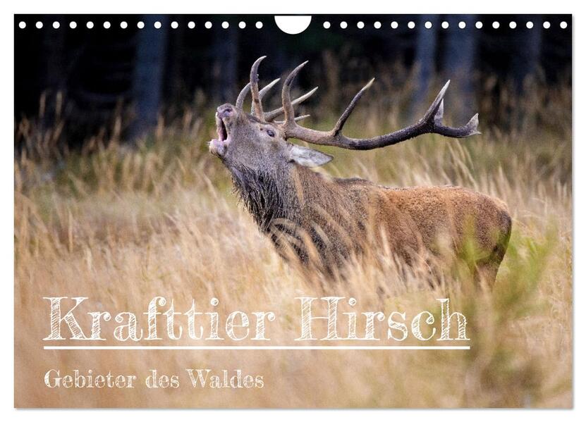 Krafttier Hirsch (Wandkalender 2026 DIN A4 quer) CALVENDO Monatskalender