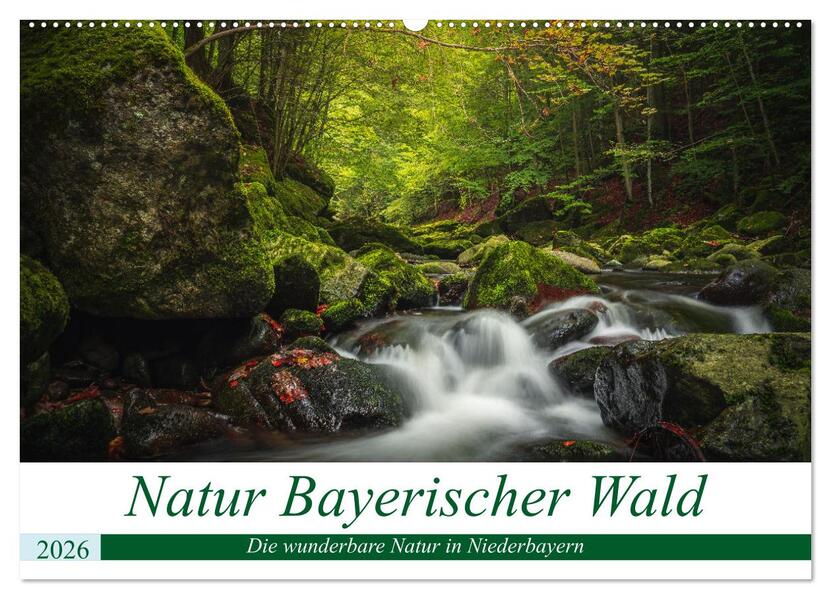 Natur Bayerischer Wald (Wandkalender 2026 DIN A2 quer) CALVENDO Monatskalender