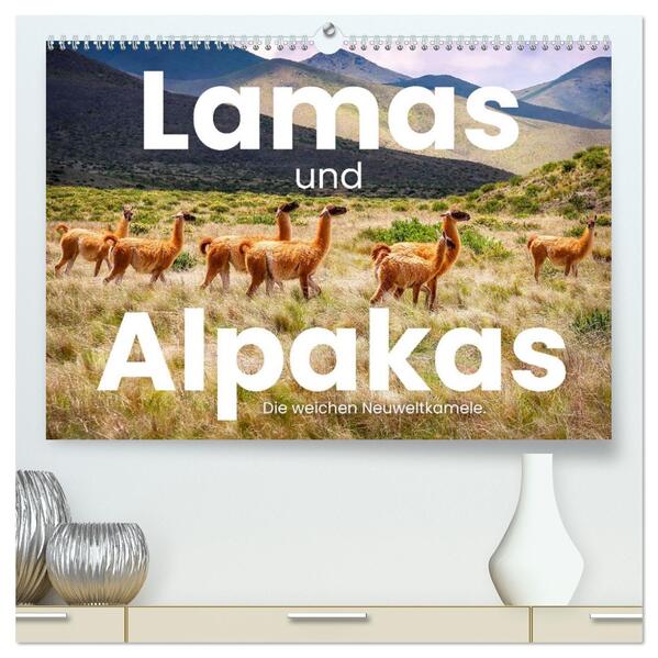 Lamas und Alpakas - Die weichen Neuweltkamele. (hochwertiger Premium Wandkalender 2026 DIN A2 quer) Kunstdruck in Hochglanz