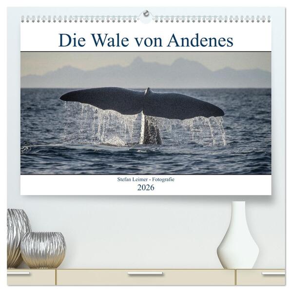 Die Wale von Andenes (hochwertiger Premium Wandkalender 2026 DIN A2 quer) Kunstdruck in Hochglanz