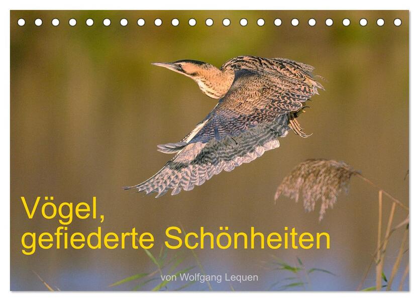 Vögel Gefiederte Schönheiten (Tischkalender 2026 DIN A5 quer) CALVENDO Monatskalender