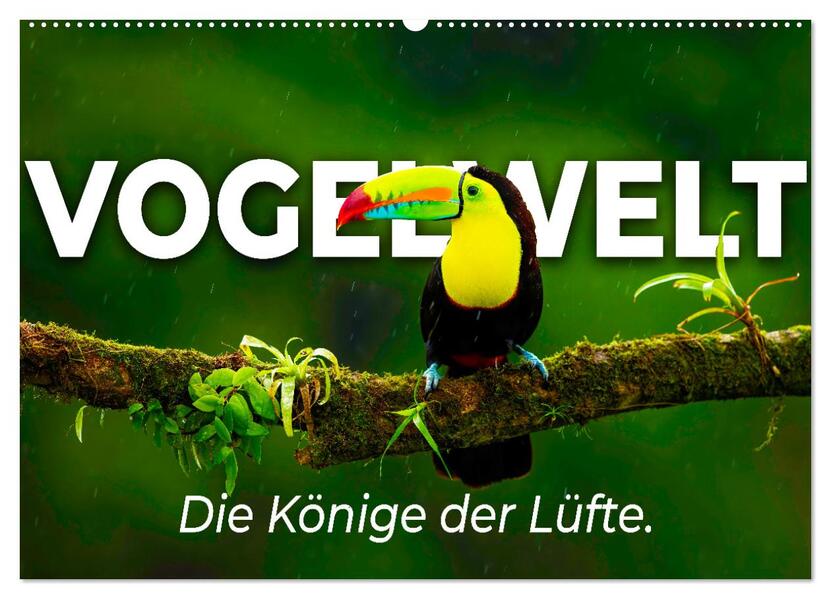 Vogelwelt - Die Könige der Lüfte. (Wandkalender 2026 DIN A2 quer) CALVENDO Monatskalender
