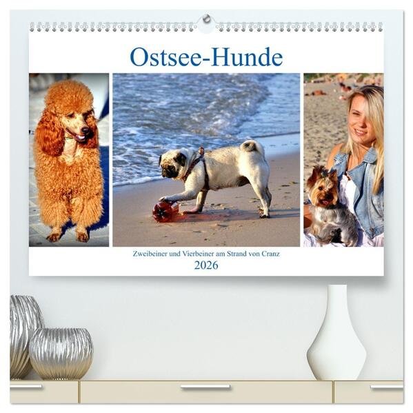 Ostsee-Hunde - Zweibeiner und Vierbeiner am Strand von Cranz (hochwertiger Premium Wandkalender 2026 DIN A2 quer) Kunstdruck in Hochglanz