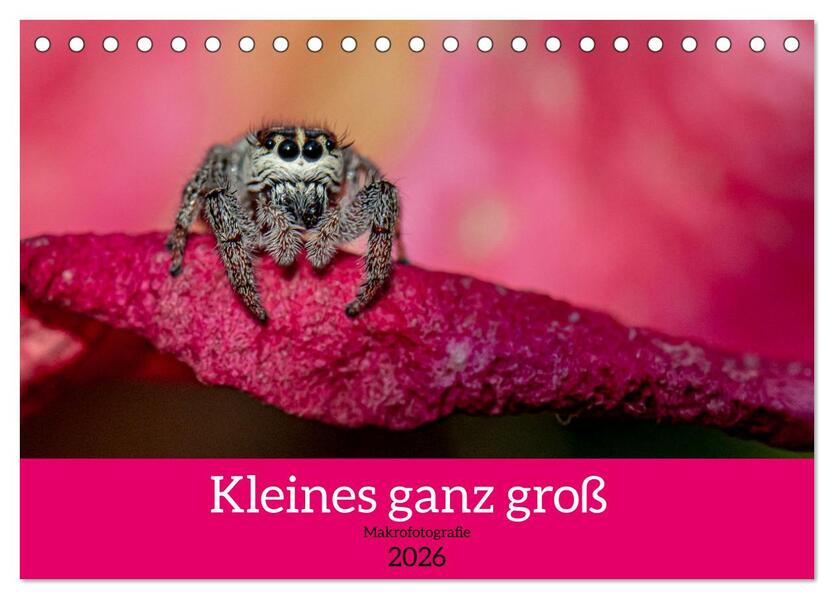 Kleines ganz groß - Makrofotografie (Tischkalender 2026 DIN A5 quer) CALVENDO Monatskalender
