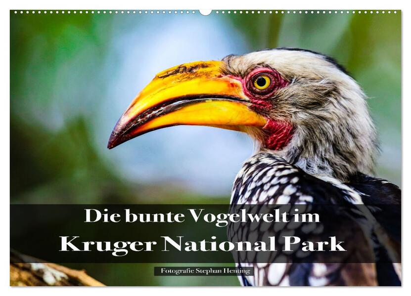 Die bunte Vogelwelt im Kruger National Park (Wandkalender 2026 DIN A2 quer) CALVENDO Monatskalender