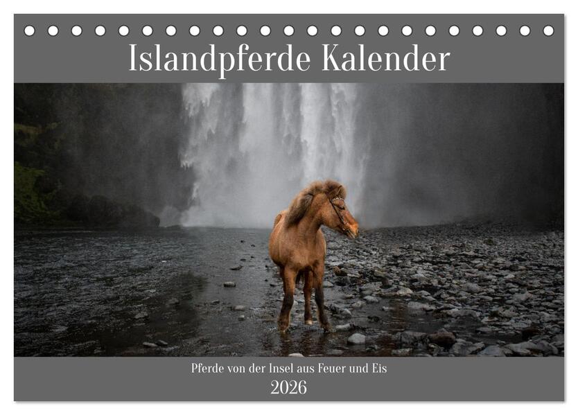 Islandpferde Kalender - Pferde von der Insel aus Feuer und Eis (Tischkalender 2026 DIN A5 quer) CALVENDO Monatskalender