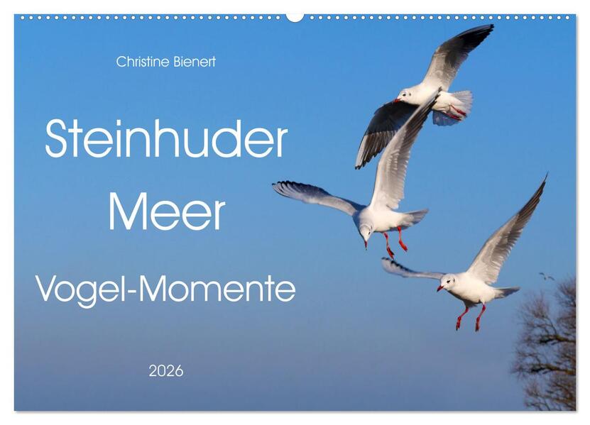 Steinhuder Meer Vogel-Momente (Wandkalender 2026 DIN A2 quer) CALVENDO Monatskalender