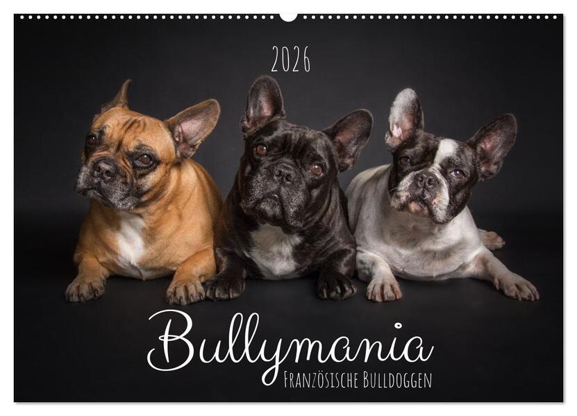 Bullymania - Französische Bulldoggen (Wandkalender 2026 DIN A2 quer) CALVENDO Monatskalender