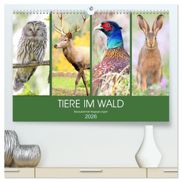 Tiere im Wald. Bezaubernde Begegnungen (hochwertiger Premium Wandkalender 2026 DIN A2 quer) Kunstdruck in Hochglanz