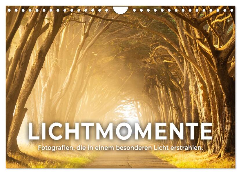 Lichtmomente - Fotografien die in einem besonderen Licht erstrahlen. (Wandkalender 2026 DIN A4 quer) CALVENDO Monatskalender