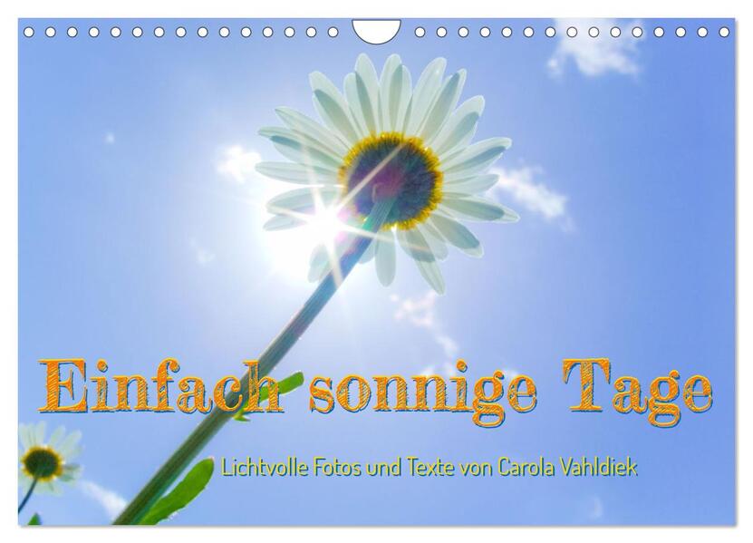 Einfach sonnige Tage (Wandkalender 2026 DIN A4 quer) CALVENDO Monatskalender