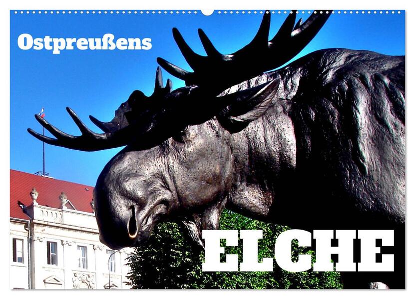 Ostpreußens Elche (Wandkalender 2026 DIN A2 quer) CALVENDO Monatskalender