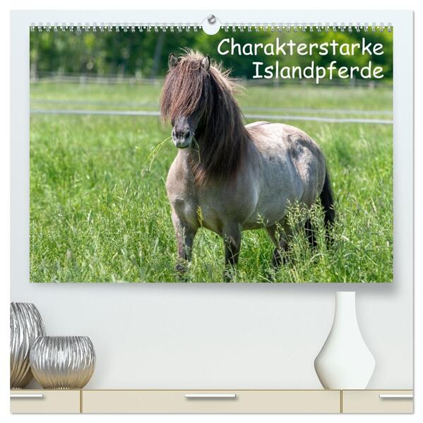 Charakterstarke Islandpferde (hochwertiger Premium Wandkalender 2026 DIN A2 quer) Kunstdruck in Hochglanz