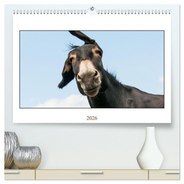 Esel Lebensfreude - Spaß mit Langohren (hochwertiger Premium Wandkalender 2026 DIN A2 quer) Kunstdruck in Hochglanz