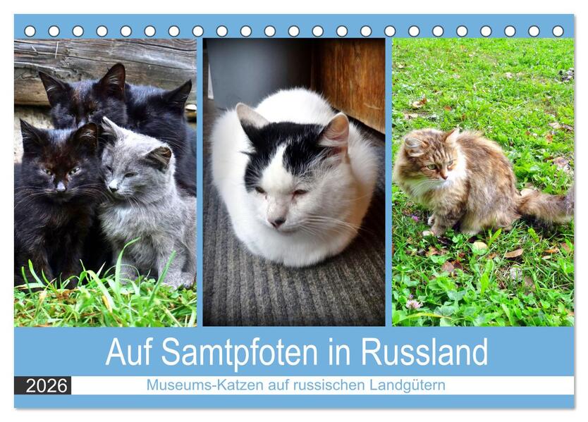 Auf Samtpfoten in Russland - Museums-Katzen auf russischen Landgütern (Tischkalender 2026 DIN A5 quer) CALVENDO Monatskalender